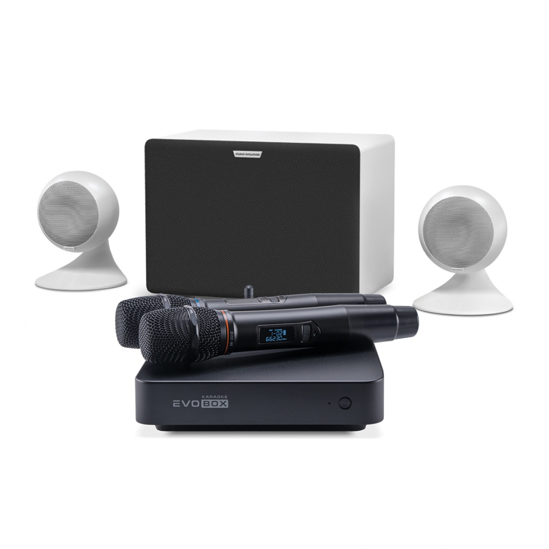 караоке-комплект EVOBOX Classic + EvoSound Sphere 2.1 в Буйнакске